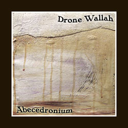 Drone Wallah
