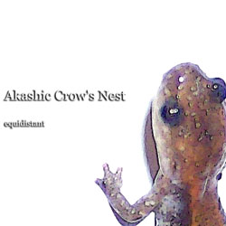 Akashic Crow's Nest